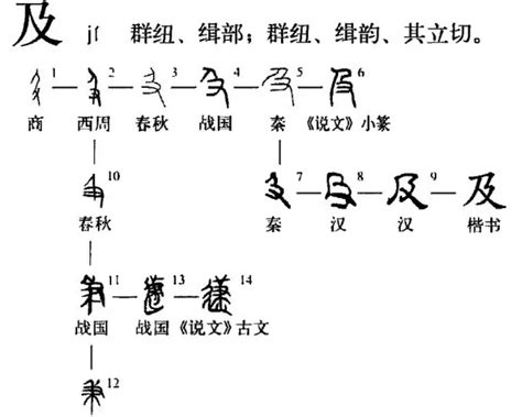 相用法|“相”字古今词义演变及用法